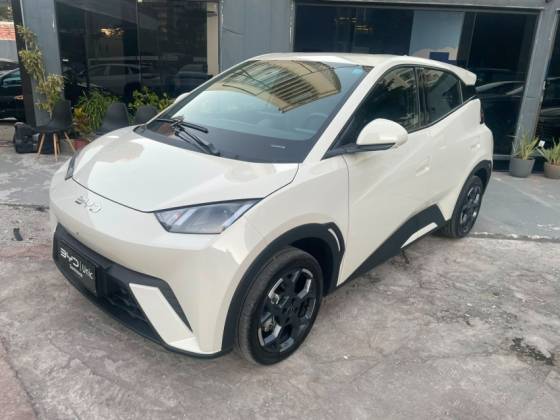 BYD DOLPHIN MINI 38 KW ELÉTRICO GS